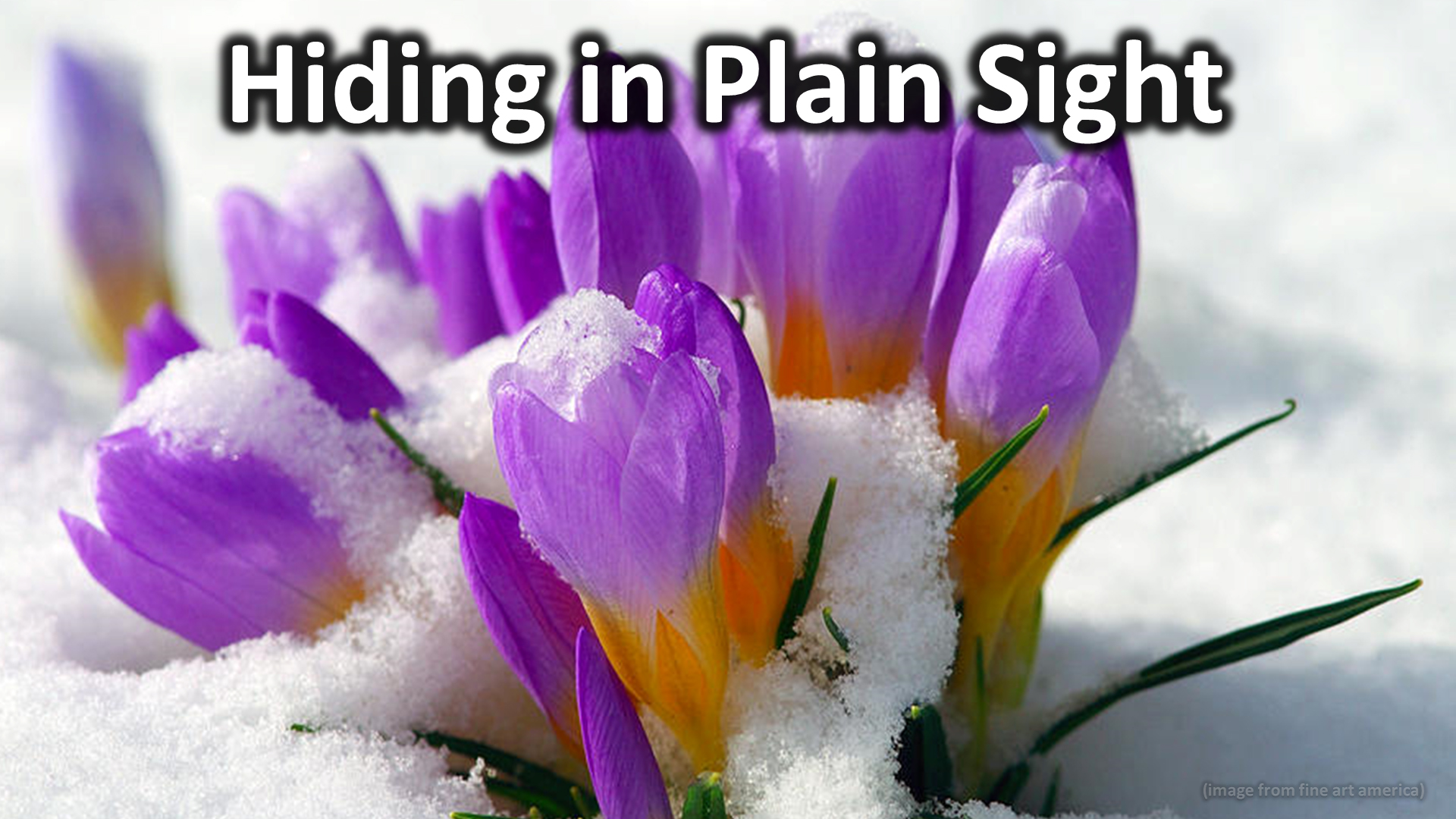 hiding-in-plain-sight-psalm-19-1-coulee-rock-church
